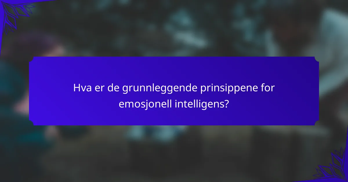 Hva er de grunnleggende prinsippene for emosjonell intelligens?