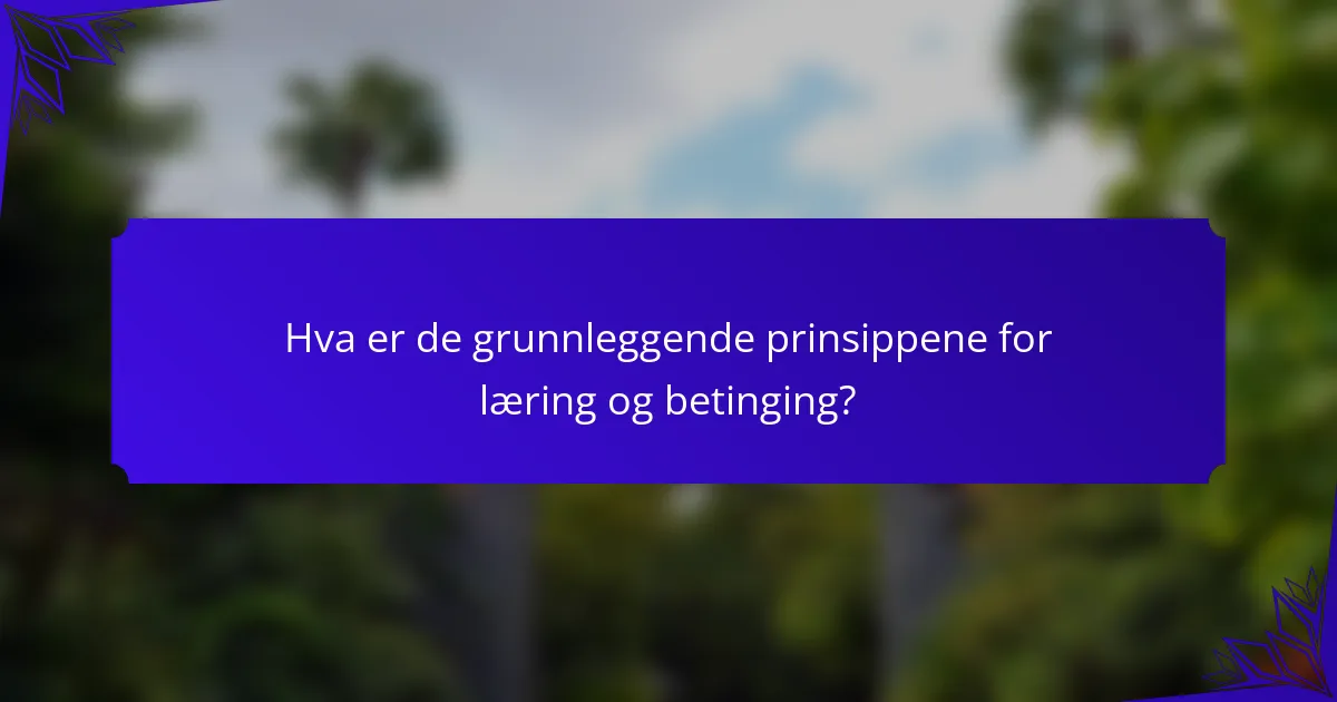 Hva er de grunnleggende prinsippene for læring og betinging?