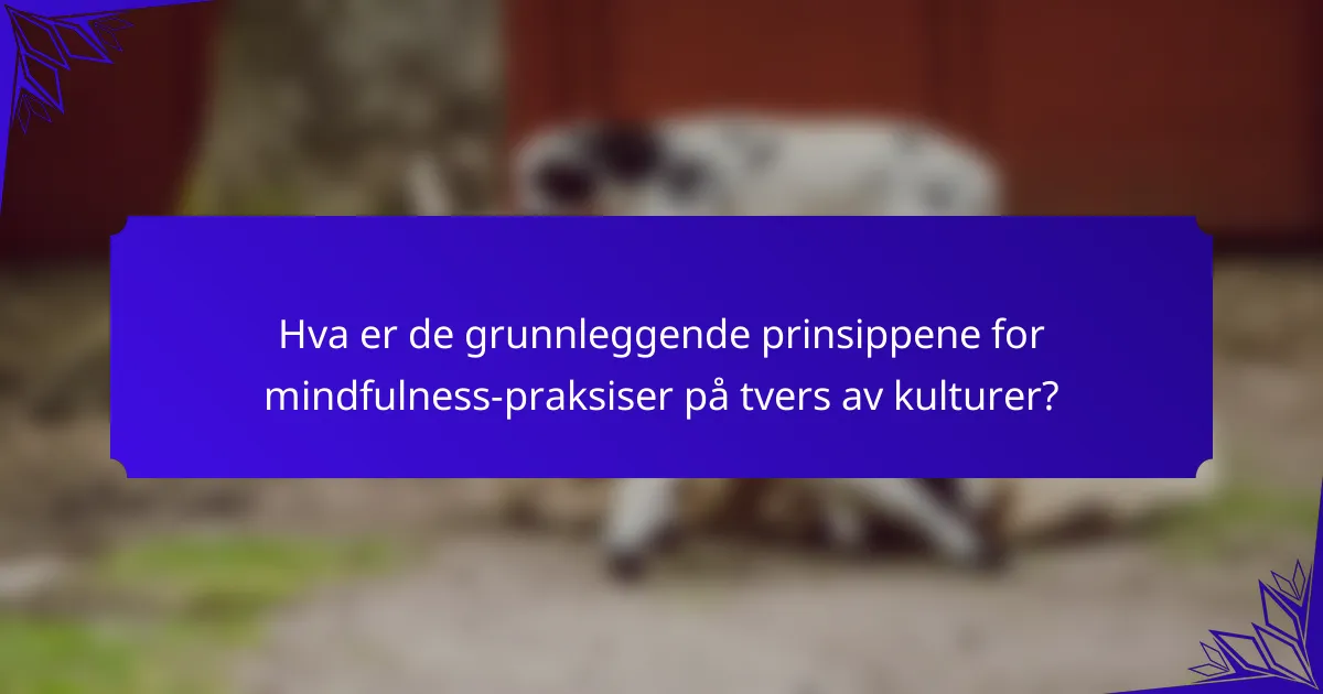 Hva er de grunnleggende prinsippene for mindfulness-praksiser på tvers av kulturer?