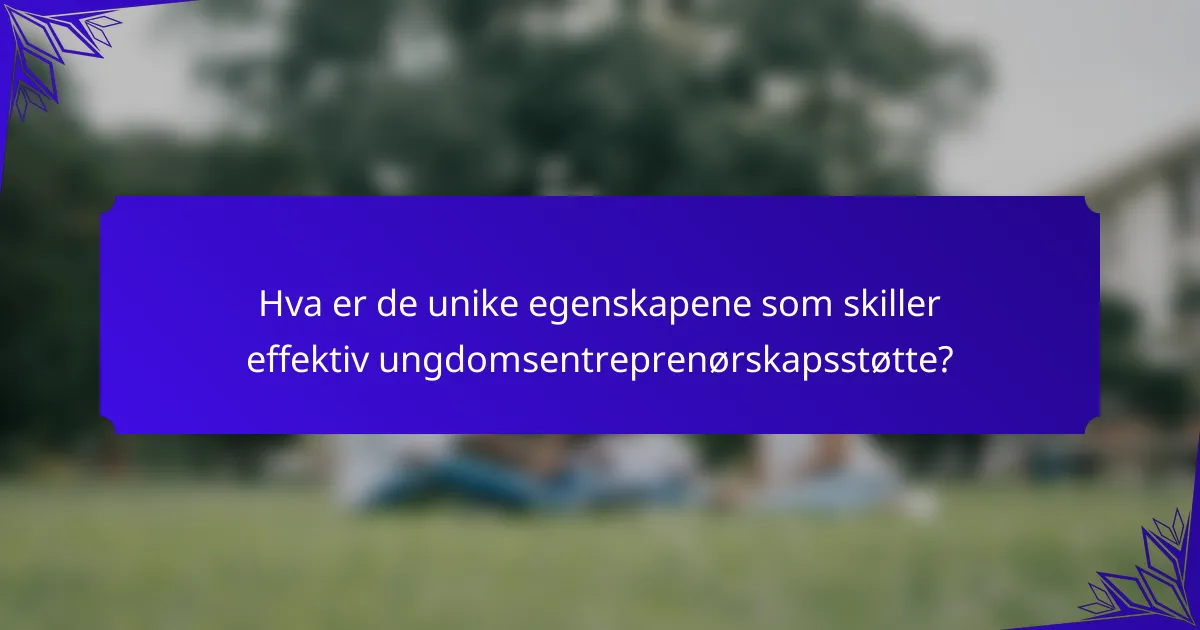 Hva er de unike egenskapene som skiller effektiv ungdomsentreprenørskapsstøtte?