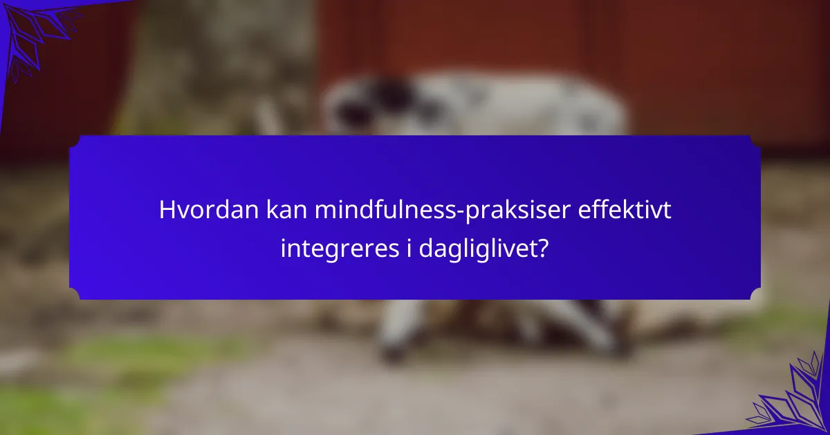 Hvordan kan mindfulness-praksiser effektivt integreres i dagliglivet?